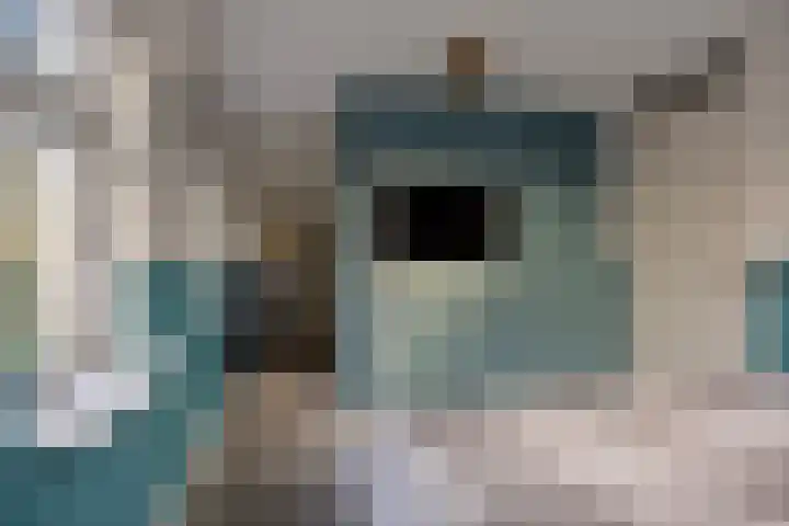 Koningsmantel 9 Assen thumbnail 20