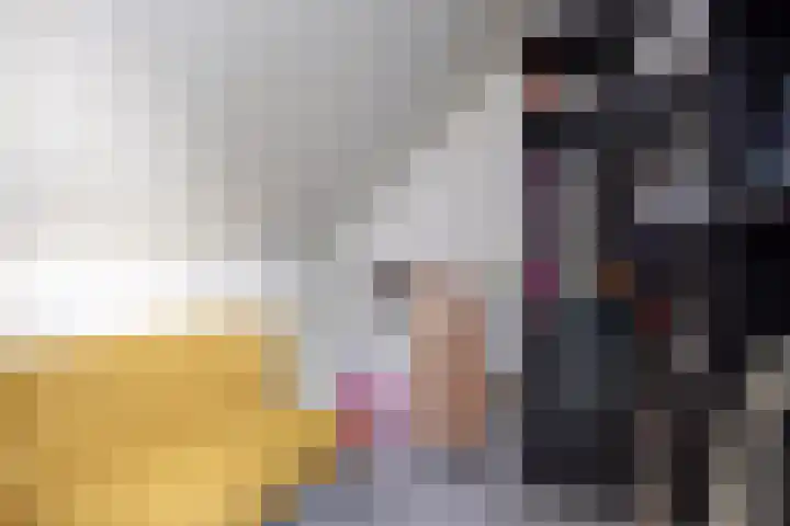 Koningsmantel 9 Assen thumbnail 21