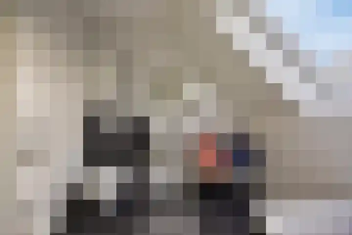Koningsmantel 9 Assen thumbnail 24
