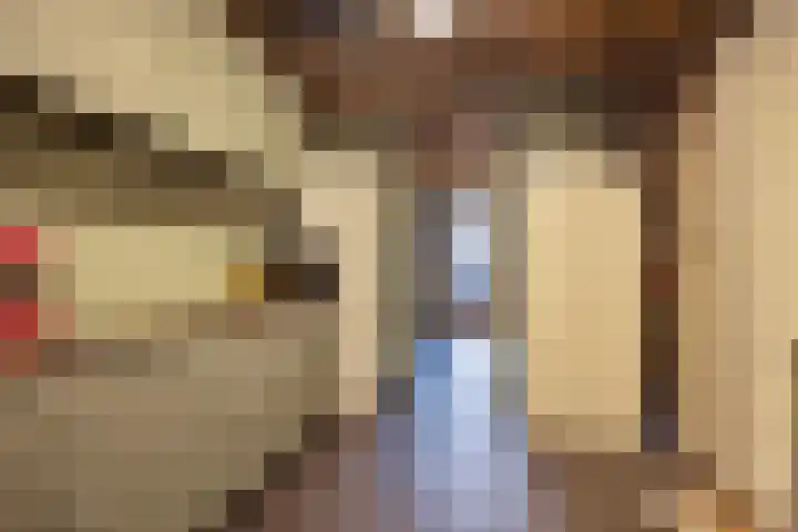 Koningsmantel 9 Assen thumbnail 30