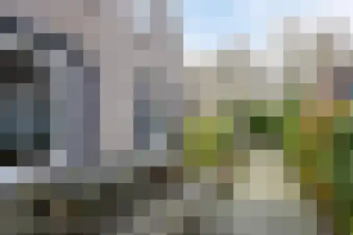 Koningsmantel 9 Assen thumbnail 32