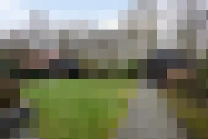 Koningsmantel 9 Assen thumbnail 35