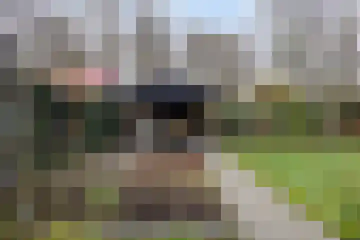 Koningsmantel 9 Assen thumbnail 36
