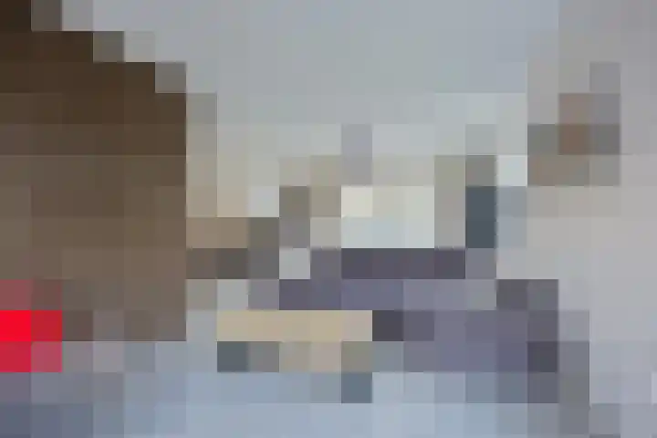 Koningsmantel 9 Assen thumbnail 6