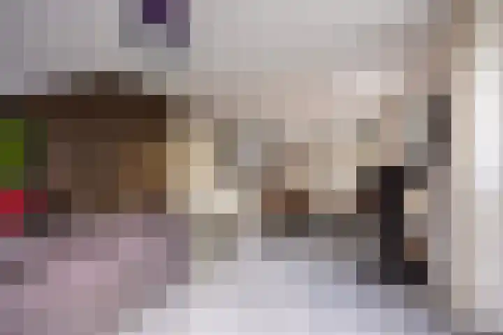 Koningsmantel 9 Assen thumbnail 7