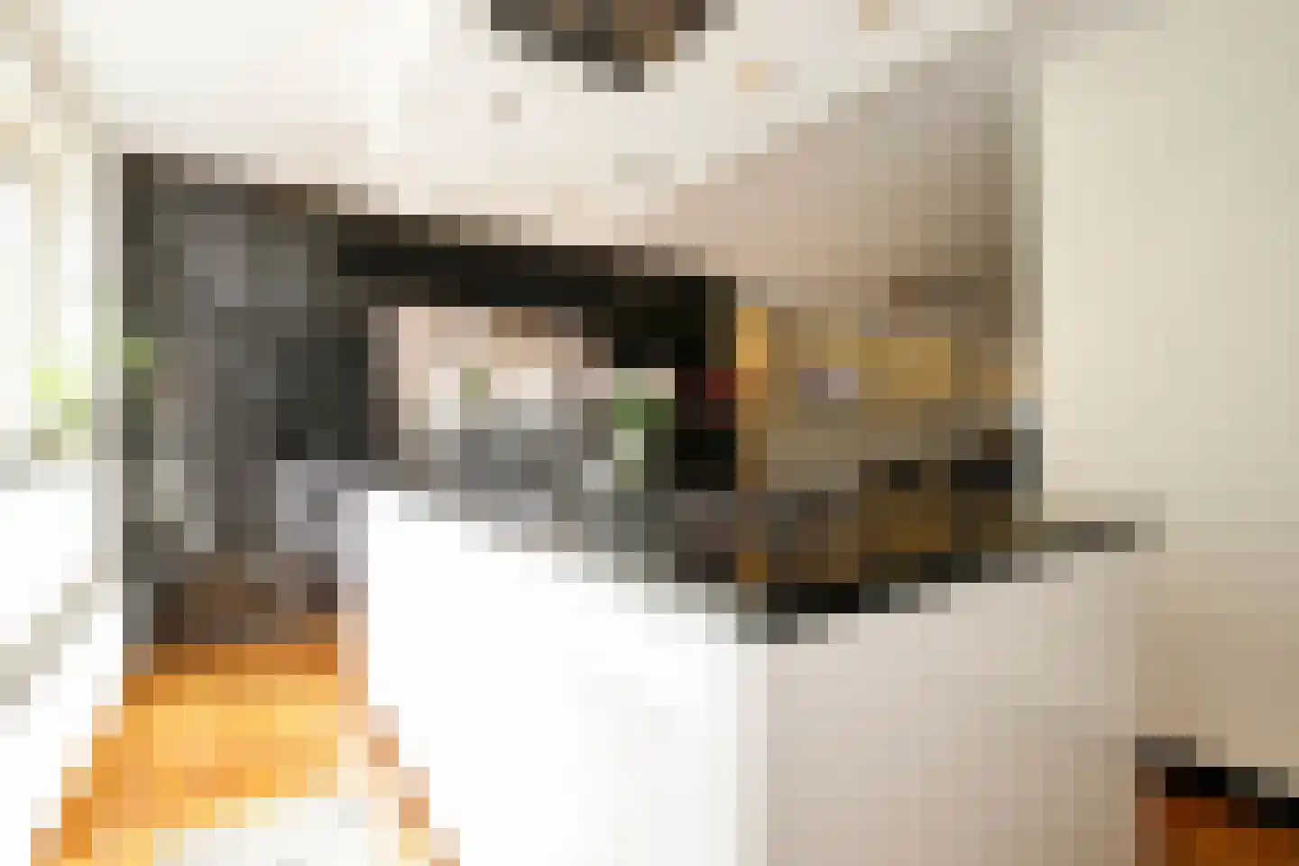 Koningsoever 3 Zevenhuizen thumbnail 22