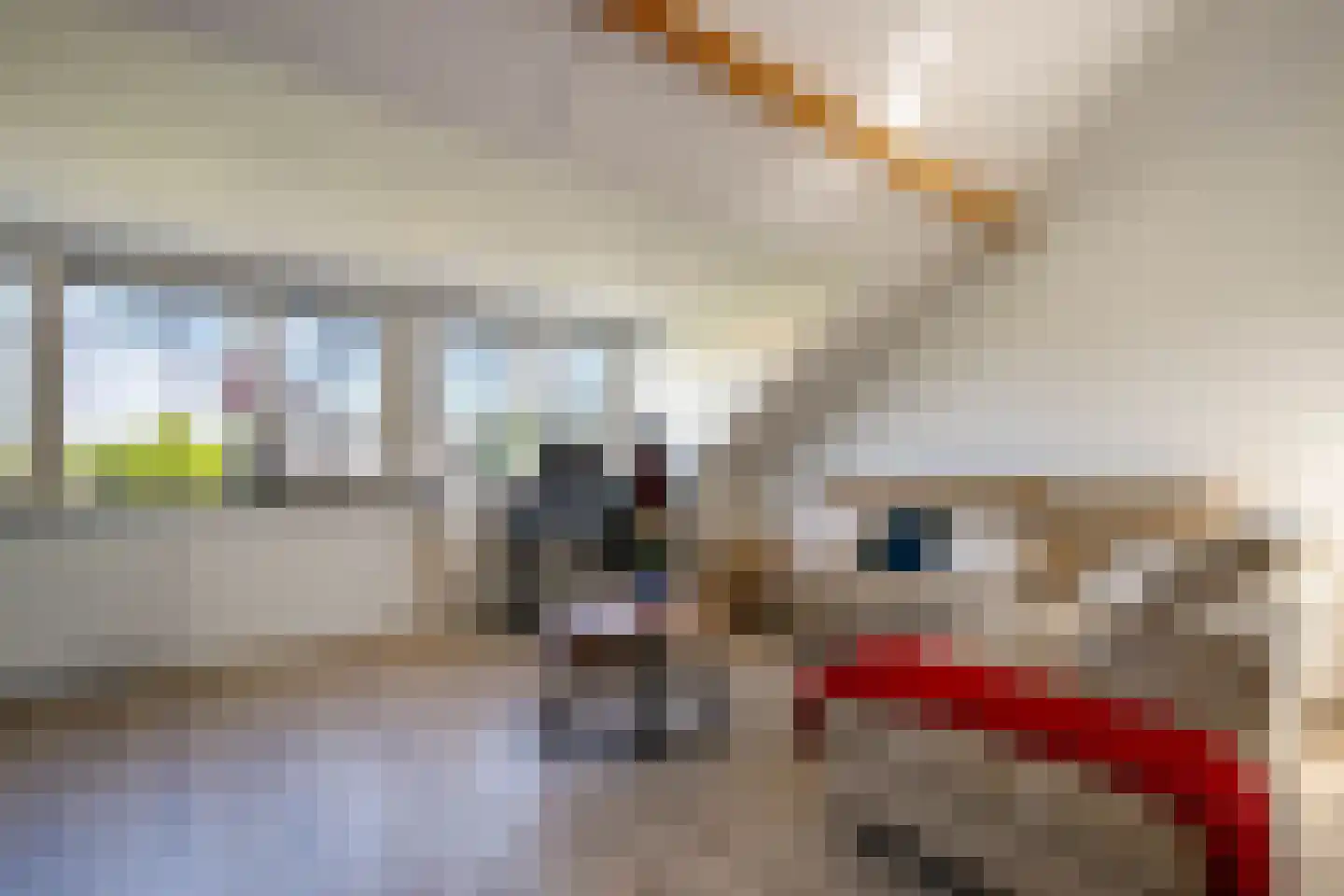 Koningsoever 3 Zevenhuizen thumbnail 36