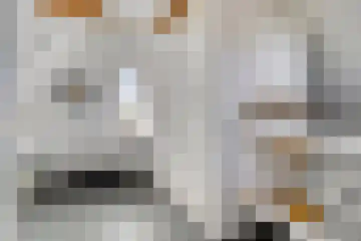 Koningspage 27 Nijkerk thumbnail 21