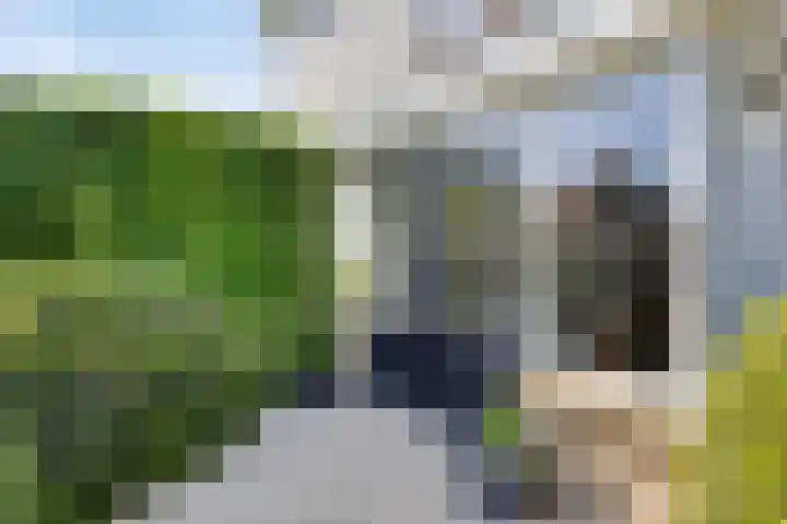 Koningspage 27 Nijkerk thumbnail 28