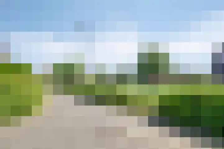 Koningspage 27 Nijkerk thumbnail 36