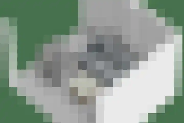 Koningspage 27 Nijkerk thumbnail 39