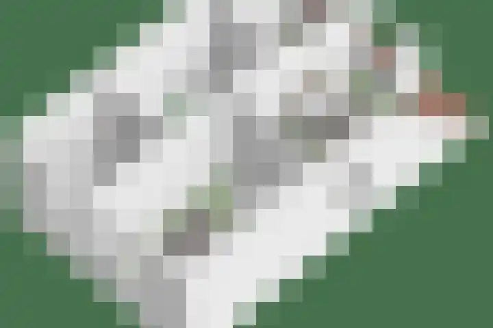 Koningspage 27 Nijkerk thumbnail 41
