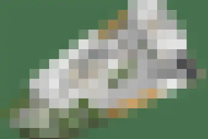 Koningspage 27 Nijkerk thumbnail 44
