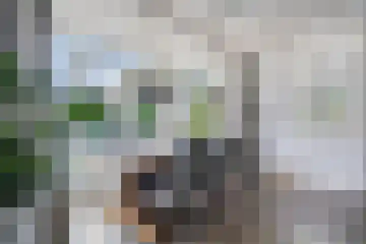 Koningspage 27 Nijkerk thumbnail 9