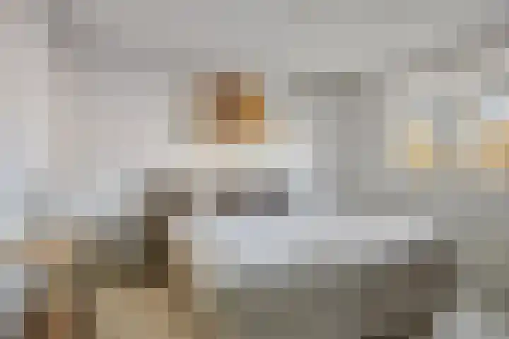 Koningspage 57 Oss thumbnail 12