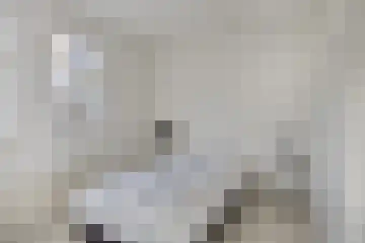 Koningspage 57 Oss thumbnail 14
