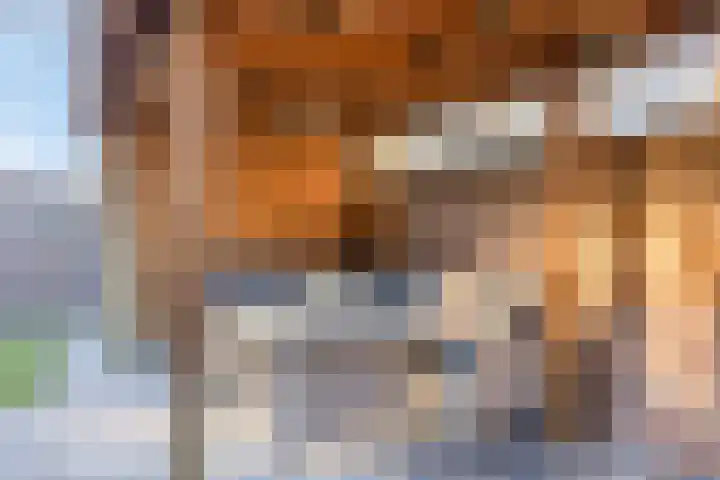 Koningspage 57 Oss thumbnail 24