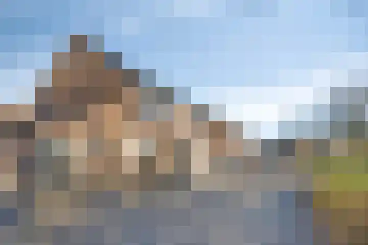 Koningspage 57 Oss thumbnail 28