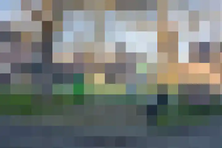 Koningspage 57 Oss thumbnail 30