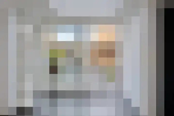 Koningspage 57 Oss thumbnail 5