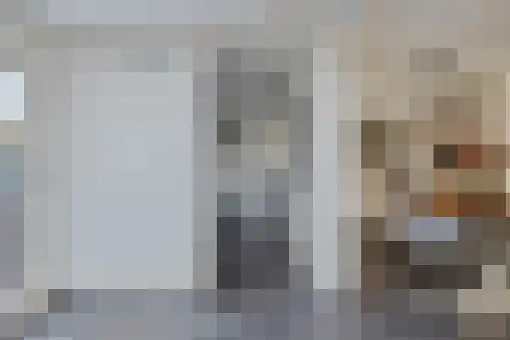 Koningspage 57 Oss thumbnail 7