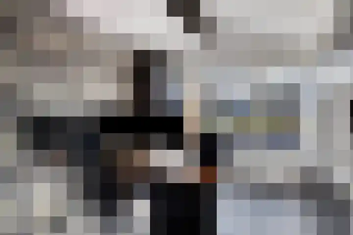 Koningspage 57 Oss thumbnail 8