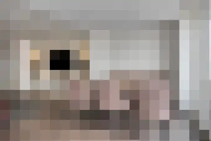 Koningspage 75 Oss thumbnail 11
