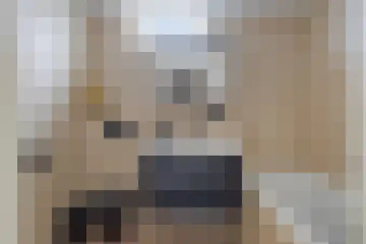 Koningspage 75 Oss thumbnail 21