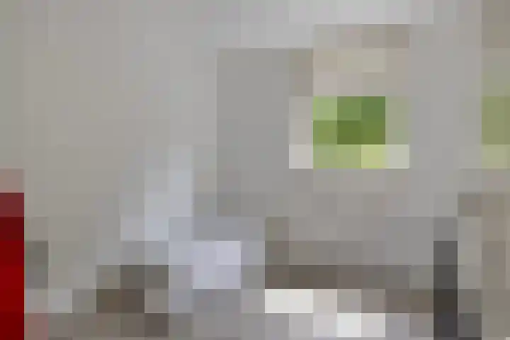 Koningspage 75 Oss thumbnail 22
