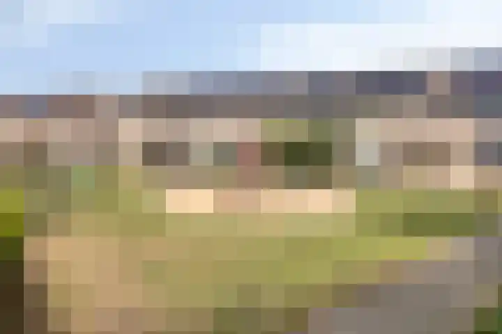 Koningspage 75 Oss thumbnail 34