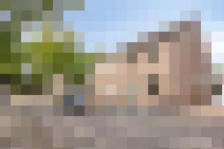 Koningspage 75 Oss thumbnail 35