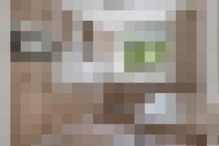 Koningspage 75 Oss thumbnail 4