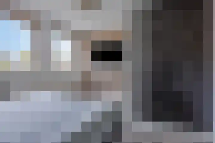 Koningspage 75 Oss thumbnail 5