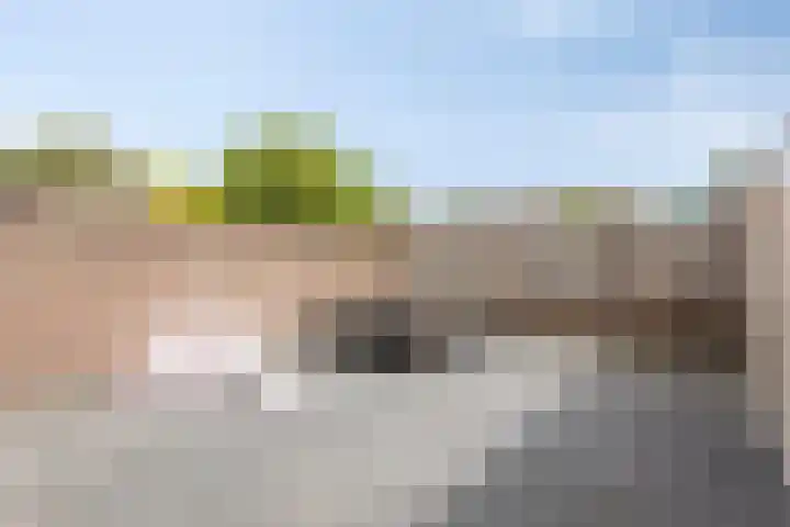 Koningspage 75 Oss thumbnail 6