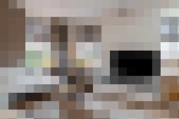 Koningsspil 30 Raalte thumbnail 13