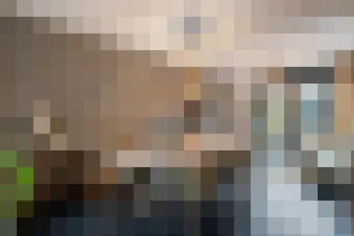 Koningsspil 30 Raalte thumbnail 18