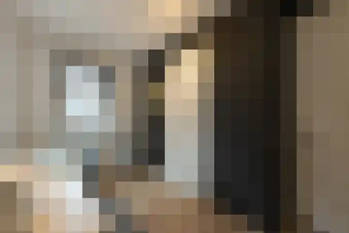 Koningsspil 30 Raalte thumbnail 34