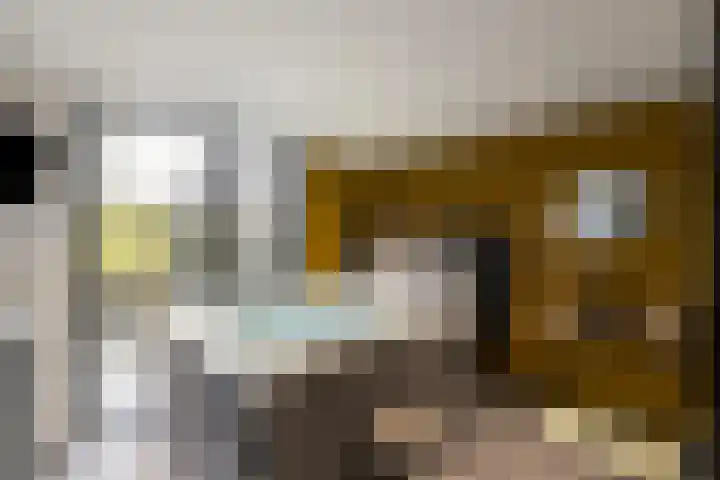 Koningsspil 30 Raalte thumbnail 45