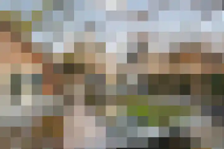Koningsspil 30 Raalte thumbnail 56