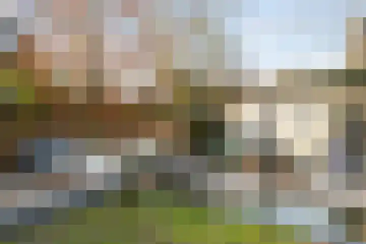 Koningsspil 30 Raalte thumbnail 58