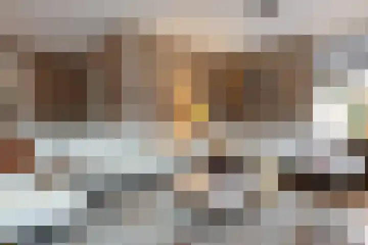 Koningsspil 30 Raalte thumbnail 8