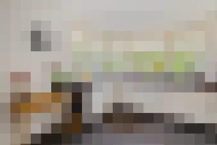 Koningsspil 38 Raalte thumbnail 13
