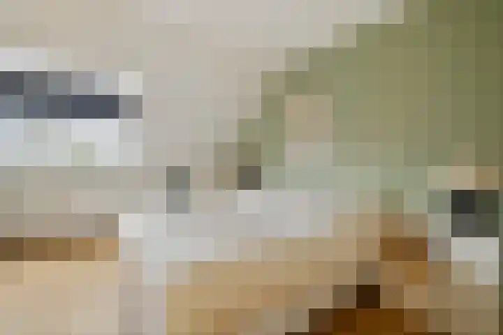 Koningsspil 38 Raalte thumbnail 22