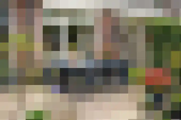 Koningsspil 38 Raalte thumbnail 35