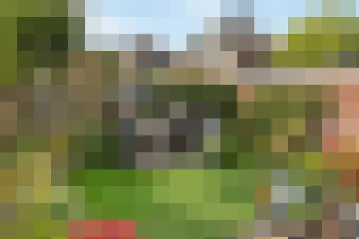 Koningsspil 38 Raalte thumbnail 36
