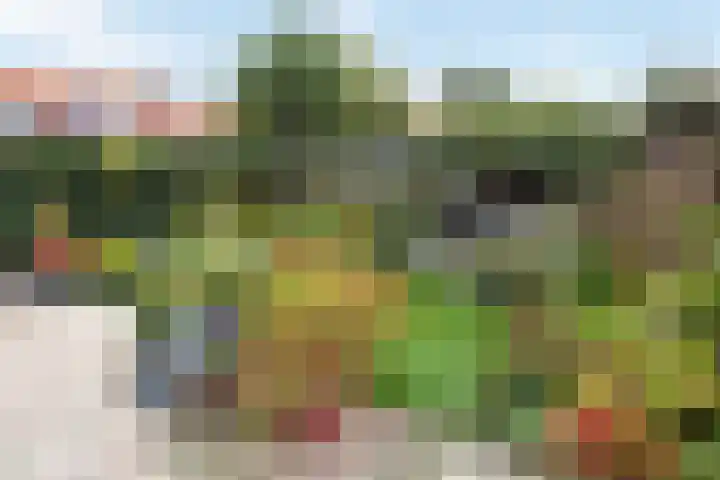 Koningsspil 38 Raalte thumbnail 38