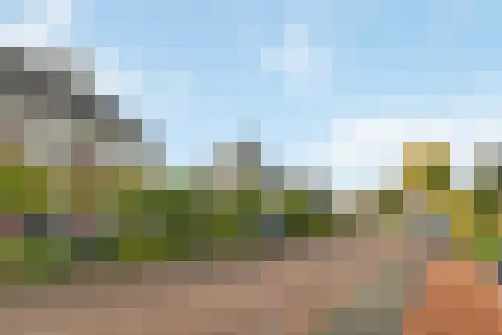 Koningsspil 38 Raalte thumbnail 4