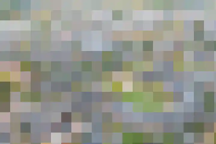 Koningsspil 38 Raalte thumbnail 41