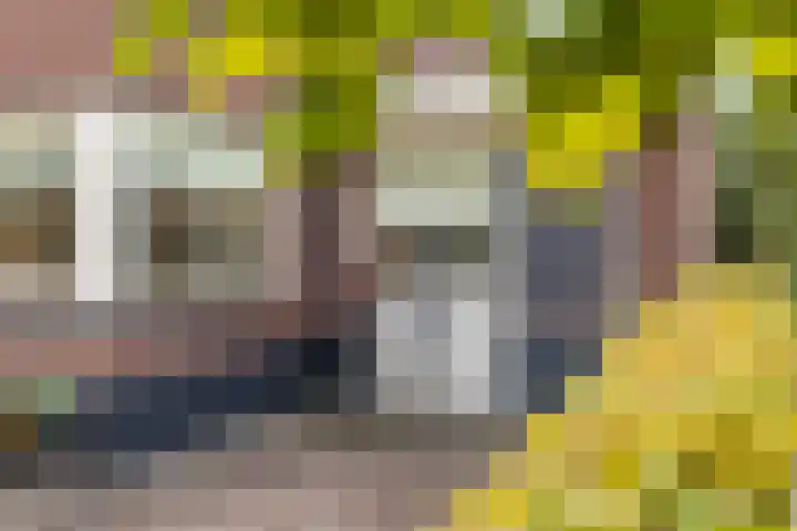 Koningsspil 38 Raalte thumbnail 5