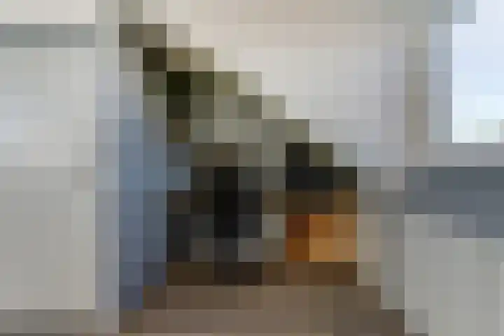 Koningsspilstraat 18 Culemborg thumbnail 37